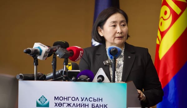 Development Bank CEO Removed